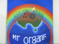 Mr Organic